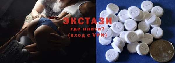 ECSTASY Бородино